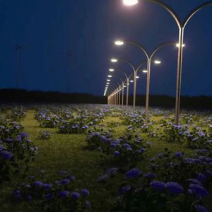 天天射天天干天天操
